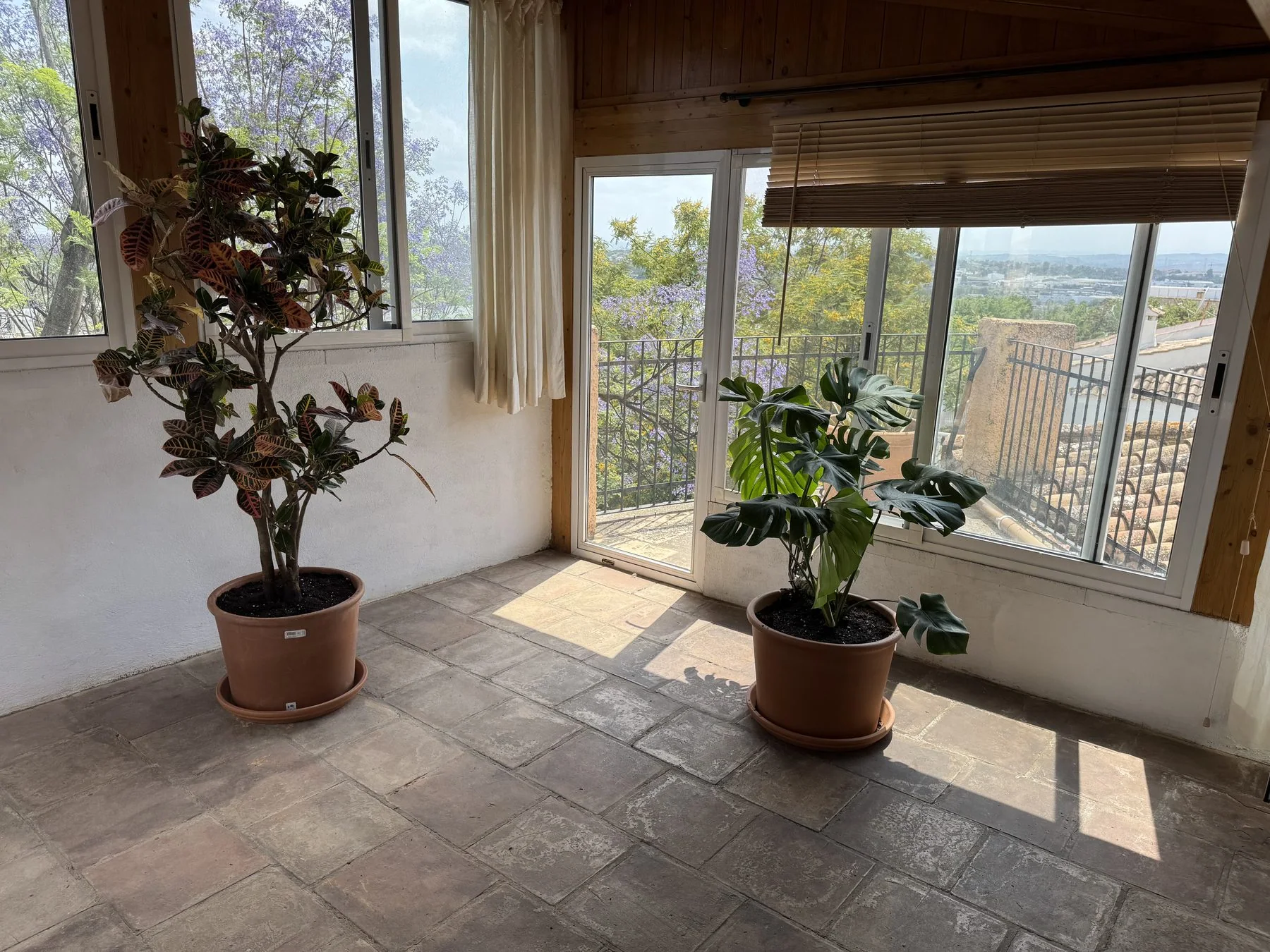Sunroom before renovation with large glazing and indoor plants