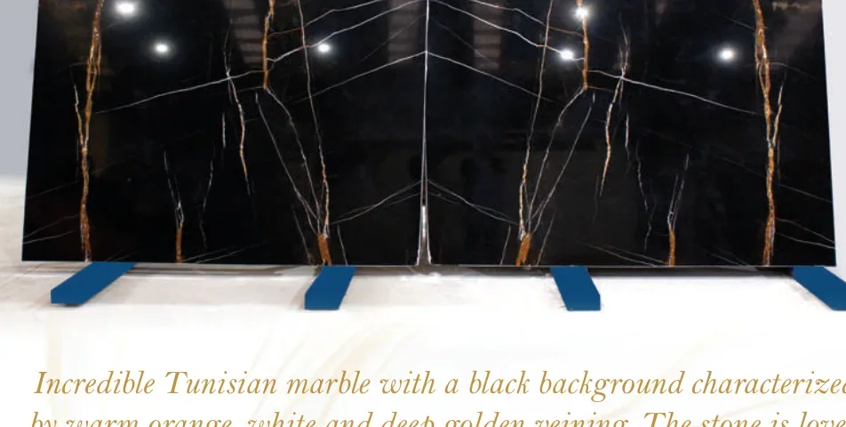 Natural stone slab: Sahara Noir
