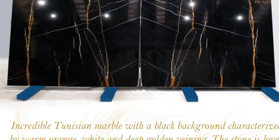 Natural stone slab: Sahara Noir