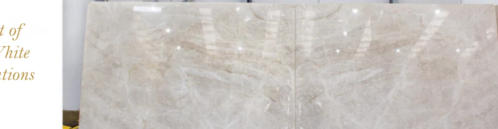 Natural stone slab: Taj Mahal